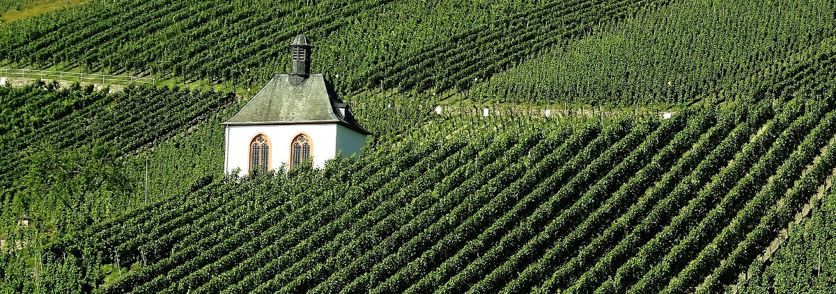 Ein Weinberg mit einer kleinen Kapelle